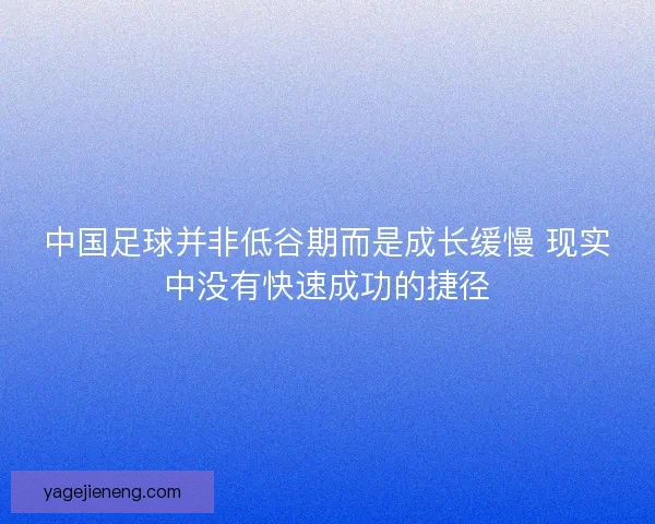 中国足球并非低谷期而是成长缓慢 现实中没有快速成功的捷径