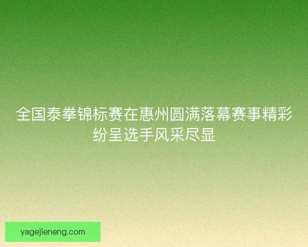 全国泰拳锦标赛在惠州圆满落幕赛事精彩纷呈选手风采尽显